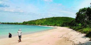 Pantai Pink, Si Merah Muda di Lombok Timur