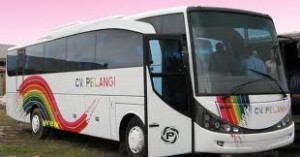 Penerbangan Cancel, Penumpang ini Terpaksa Naik Bus