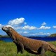 Lima Hal yang Harus Diperhatikan Sebelum ke Pulau Komodo