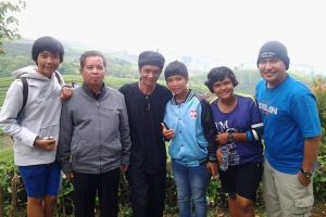 Study Comperative 2013